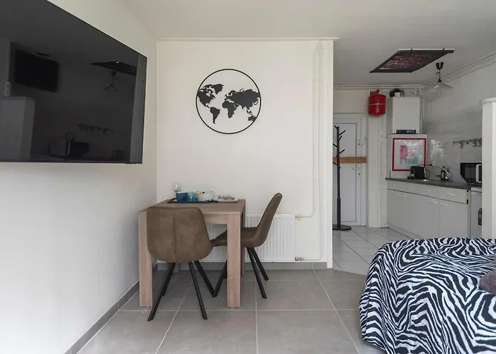 Zaras Hermes Zandvoort